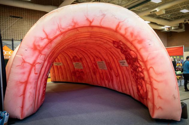 56451972_2110604848993767_6174161516888064000_o